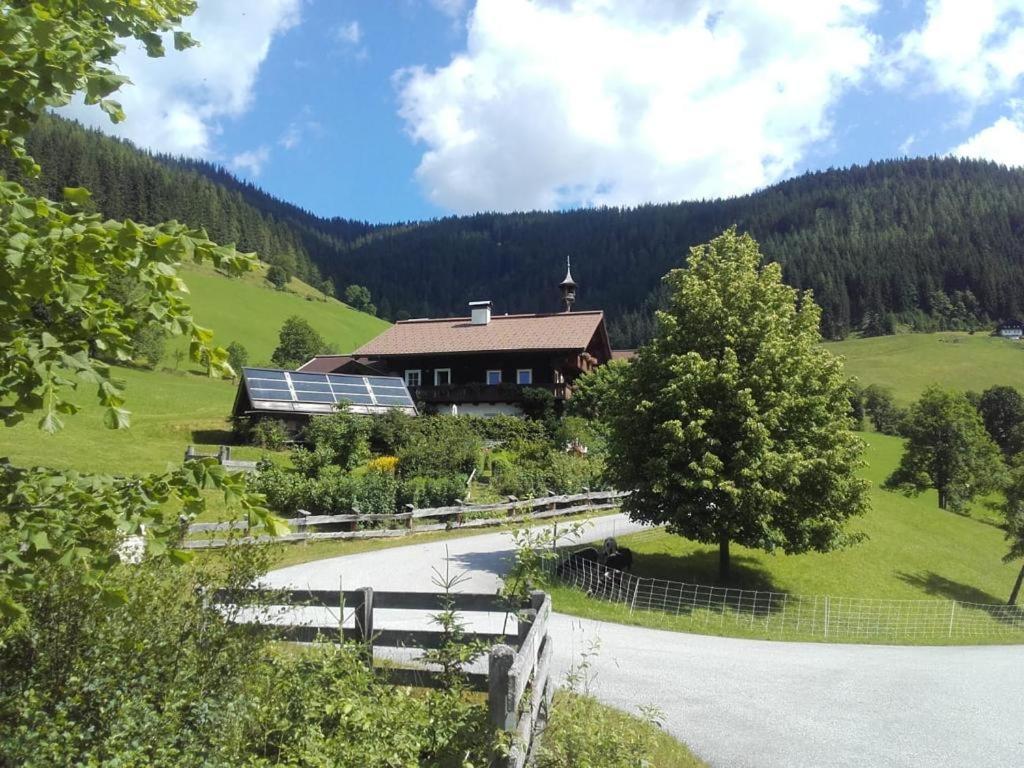 Neudegghof Apartment Eben Im Pongau Exterior photo