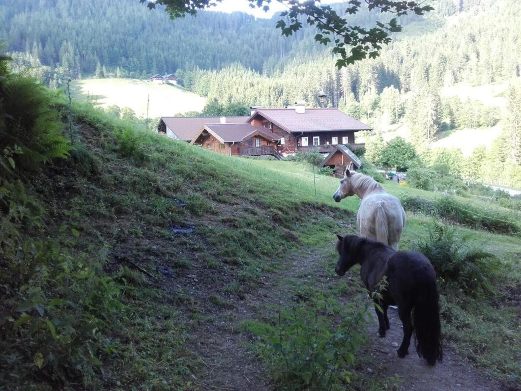 Neudegghof Apartment Eben Im Pongau Exterior photo