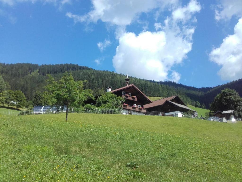 Neudegghof Apartment Eben Im Pongau Exterior photo