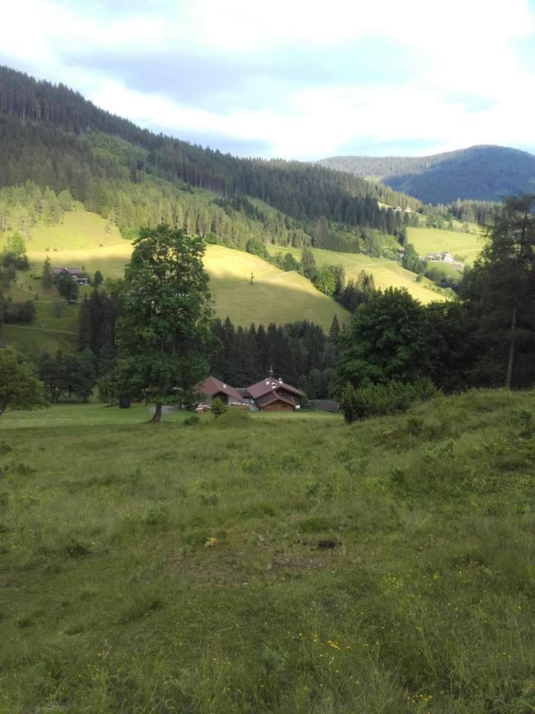 Neudegghof Apartment Eben Im Pongau Exterior photo